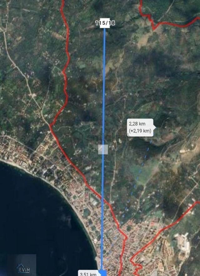 Evim Gayrimenkul 'den Satılık Zeytinlik 4