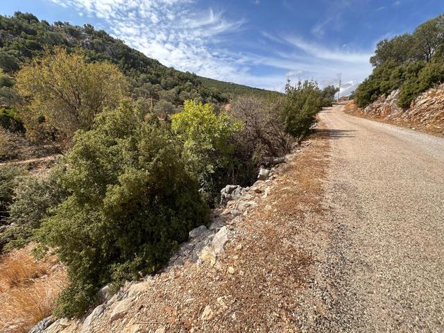 Stop’tan Seydikemer Dodurga 5.283m² Arazi 3