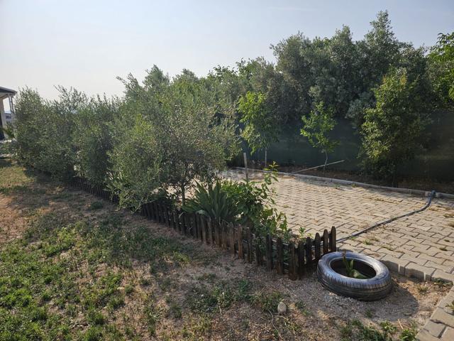Acill Buca Karacağaç Mevki 1.665m2 İçerisinde Prefabrik Ev 'li Satılık Bahçe 4