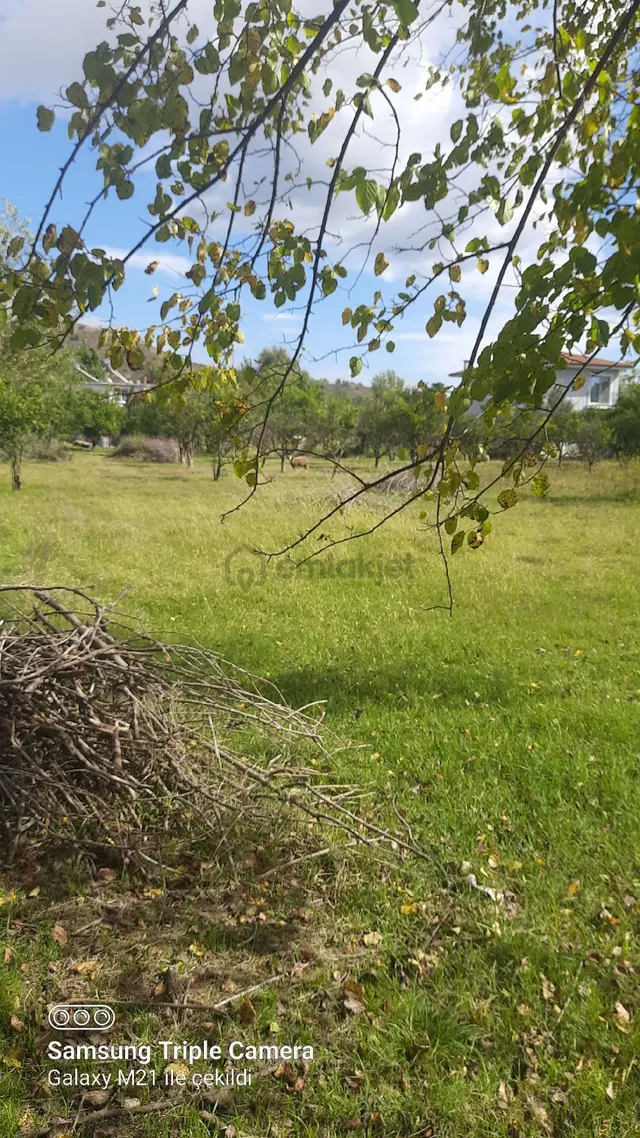 Fevziyede Satılık Rızai Taksimli 2510 M2 Yer.videosu Mevcut 3