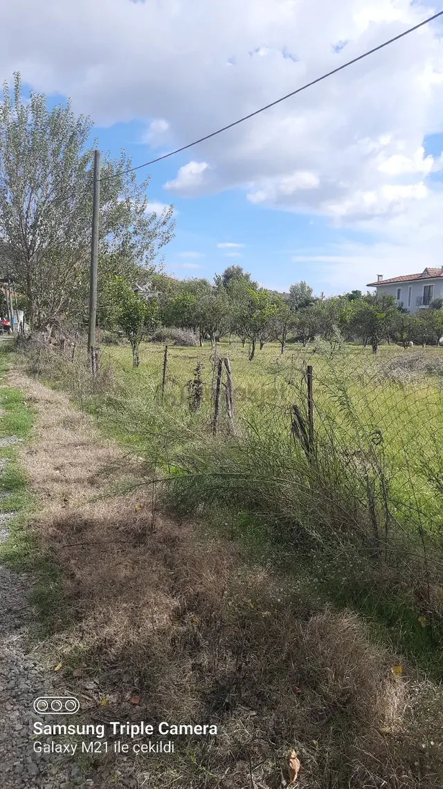 Fevziyede Satılık Rızai Taksimli 2510 M2 Yer.videosu Mevcut 4