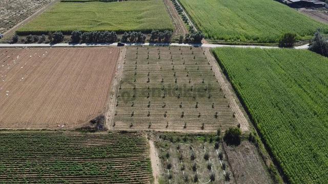 A Plus Gayrimenkulden Kahrat Köyünde 3645 M2 Yola Cepheli Tarla​ 5