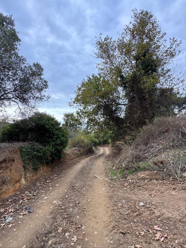Balıkesir Bandırma Sabil Yenice Mahllesi 3
