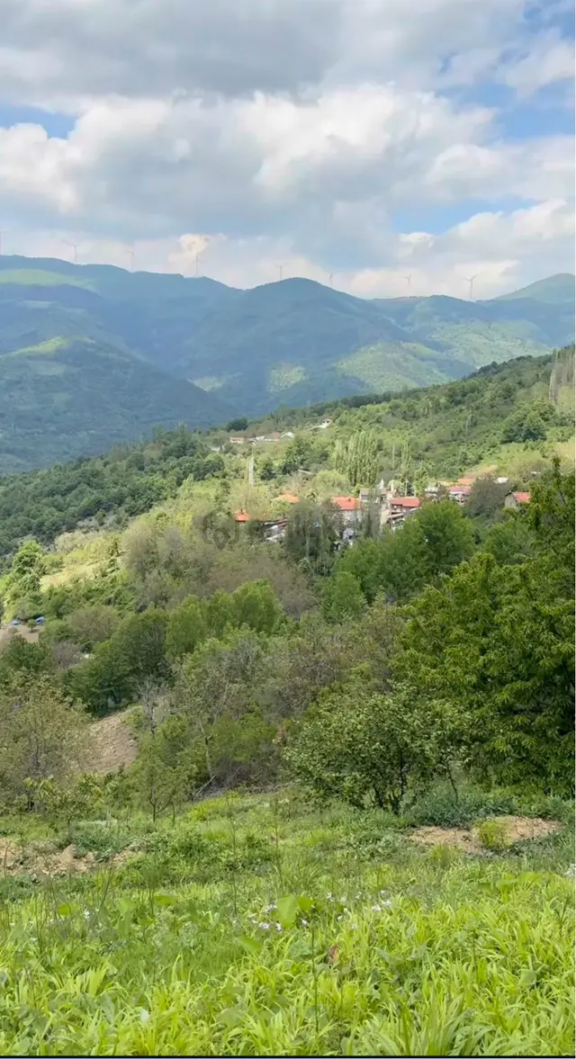 Sakarya Geyve Koru Mahallesi 3