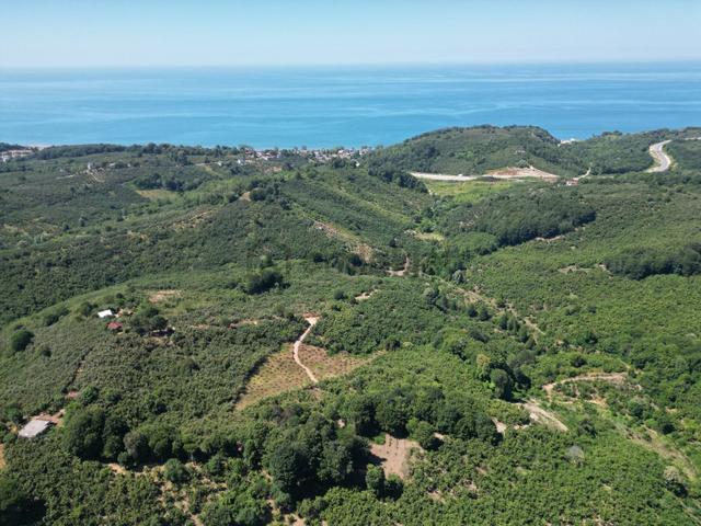 Akçakoca Hasançavuş'da Deniz Manzaralı İmarlı Satılık Arsa 4