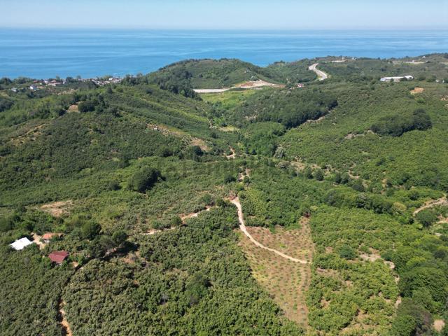 Akçakoca Hasançavuş'da Deniz Manzaralı İmarlı Satılık Arsa 3