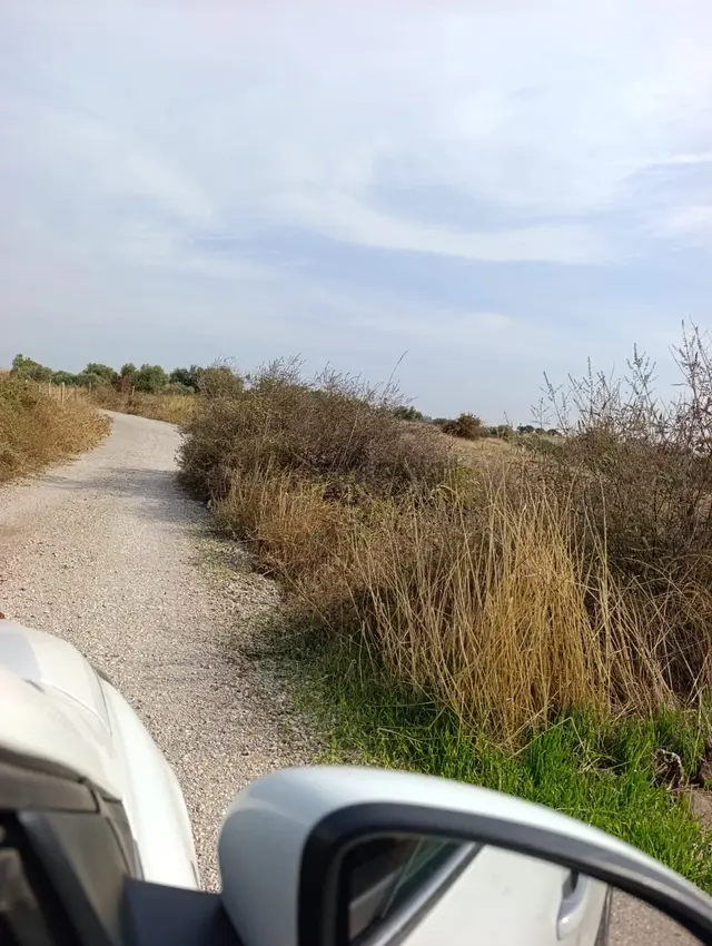 Yenibağarası Çelebi Çiftliği Mevkiinde Satılık Arazi 4