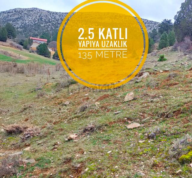 Sahibinden Araç Takaslı Doğanın İçinde 2964 M2 2