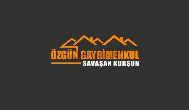 Özgün Gm'den - Küçüksümbüller'de Yolun Dibinde, Satılık - Konteynerli, Zeytinli Tarla 3