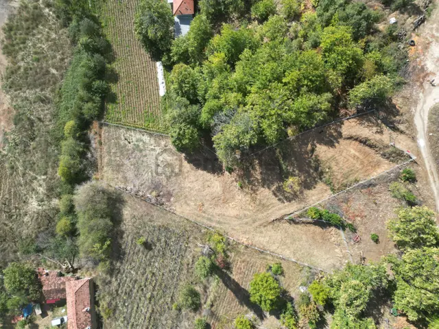 Antika Gayrimenkul'den Tekke'de Konut İmarlı Satılık Arsa 4