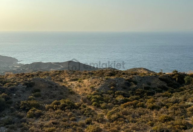 Karaburun'da Deniz Manzaralı Kadastral Yol Tarım İmarı Satılık Tarla Karaburun'da Deniz Manzaralı Kadastral Yol Tarım İmarı Satılık Tarla