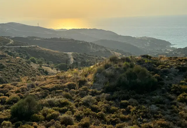 Karaburun'da Deniz Manzaralı Kadastral Yol Tarım İmarı Satılık Tarla 3
