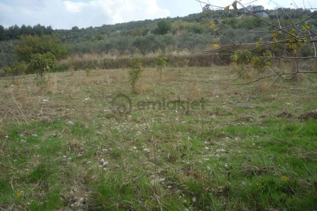 İzmir Torbalı Gold Emlaktan Bozköyde Satılık Kıymetli Bahçe 3