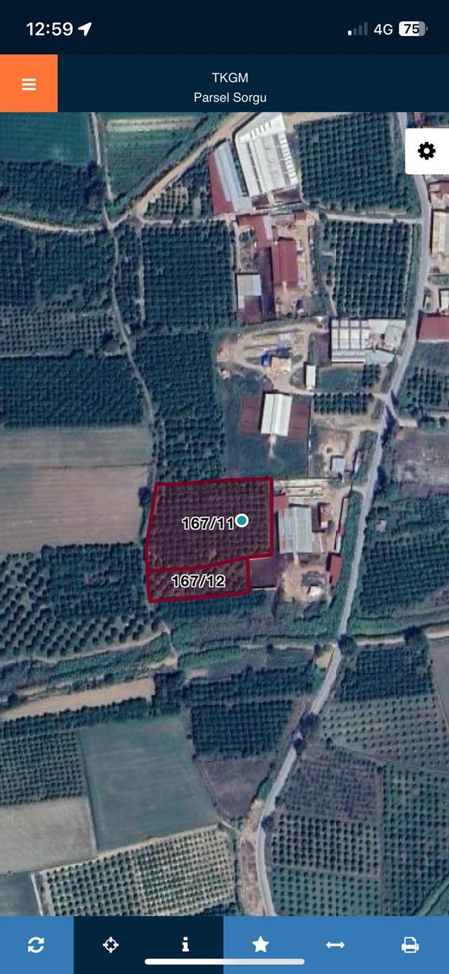 Nazilli Hamzallı Mah. Satılık Portakal Bahçesi 2