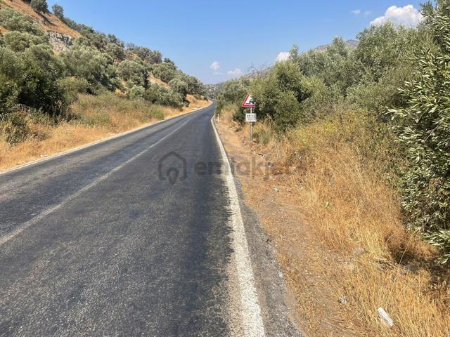Nazilli Kardeşköy Mahallesi Satılık Tarla 4