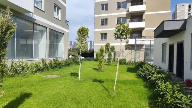 Thor'dan Mezitli Tece'de Kiralık 1+1 Havuzlu Sıfır Daire 5