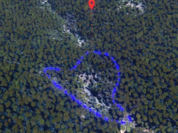 Milas Kalınağıl'da 13.475 M2 Zeytinlik 3