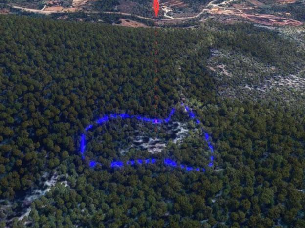 Milas Kalınağıl'da 13.475 M2 Zeytinlik 5