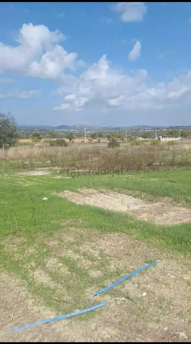 Urla Kuşçular Da Merkezi Konumda 10 Dönüm Yatırımlık Tarla 3