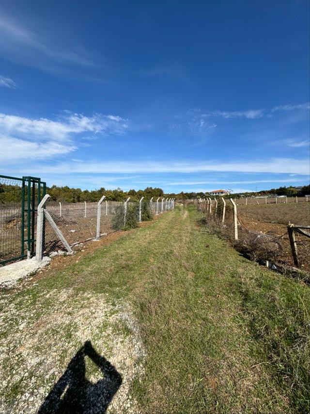 Çatalca Subaşında 3750m2 Tek Tapu Arsa 3