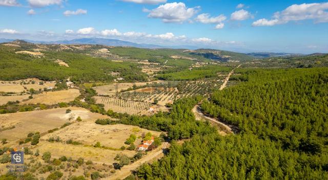 İzmir Bergama Zeytindağ'da Satılık 2 Adet Dağ Evi Ve Tarla İzmir Bergama Zeytindağ'da Satılık 2 Adet Dağ Evi Ve Tarla