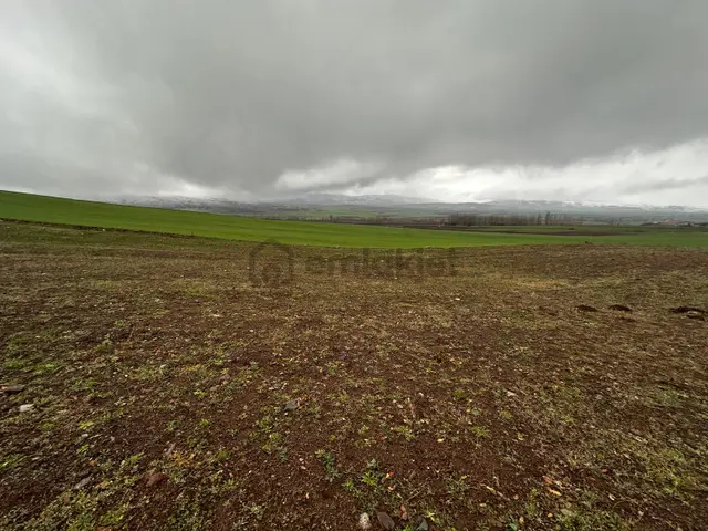 Tokat Kızık Köyünde Satılık Arazi 2