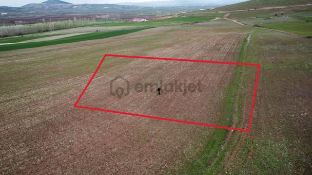 Tokat Kızık Köyünde Satılık Arazi 5