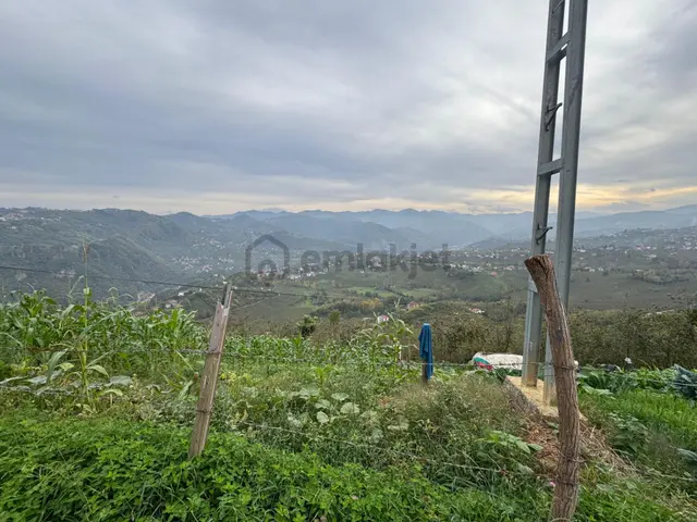 Trabzon Çukurçayır Mısırlı Mahallesi 5.964 M2 Satılık Arsa 3