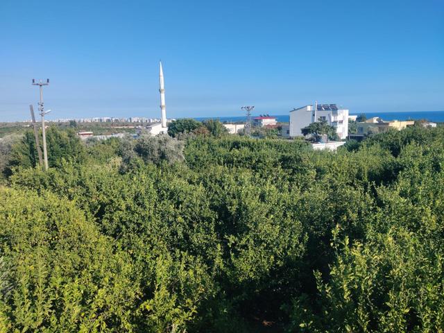 Mersin Erdemli Kargıcak 4.869 M2 Arsa Ve İçinde 2+1 Müstakil Daire 5