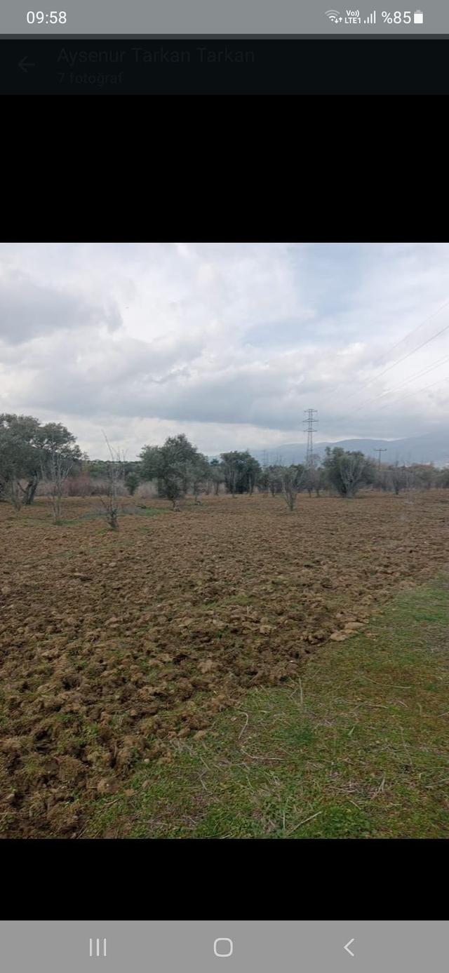 Satılık Tarla Kemalpaşa Yukarı Kizilca Köyünde 4
