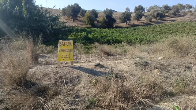 3ev Emlak'tan Kabasakal Rüzgarlıtepe'de Hisseli Arsa 3