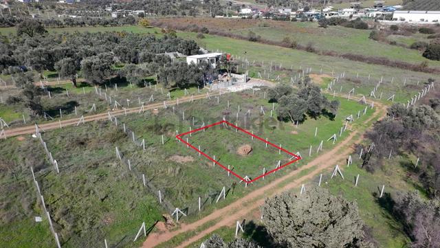 Menderes Dereköy'de 202 M2 Elektrik& Suyu Mevcut Satılık Parsel 3