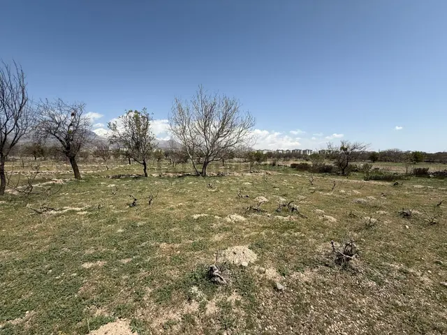 Öz Gaye Emlaktan Develi Camiicedit Çakılarası Mevkinde Satılık Bağ Yeri 2
