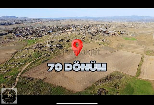 Kırklareli Merkez Kayalı Köyünde Satılık 70 Dönüm Fırsat Arazi 5