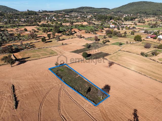 Yayla Mahallesi Fesleğen’de 902 M² Tarla – Gelişime Açık 1