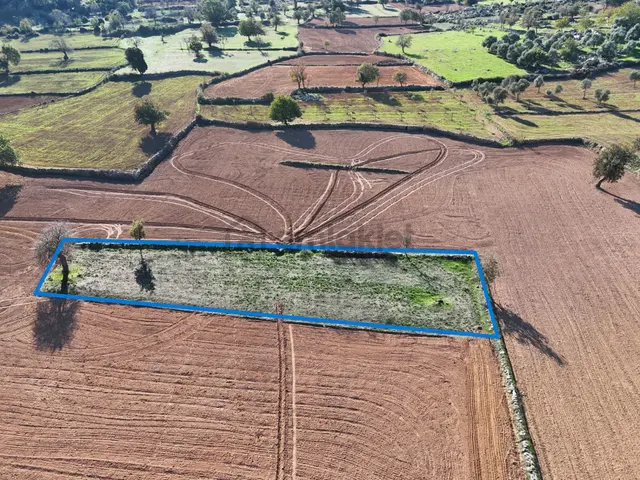 Yayla Mahallesi Fesleğen’de 902 M² Tarla – Gelişime Açık 5