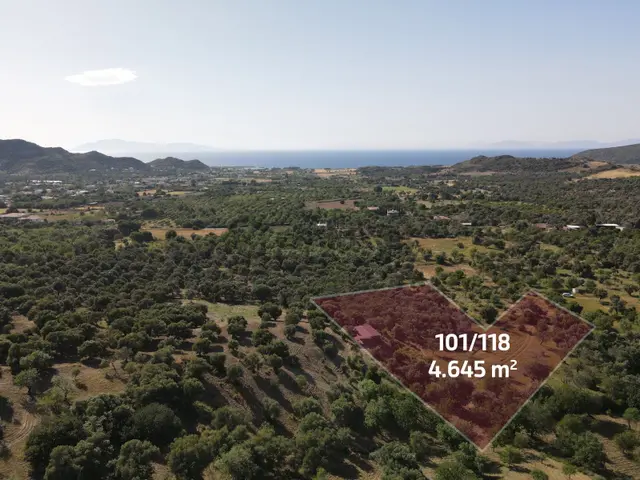 Datça Karaköy Mahallesinde 4645 M2 Deniz Manzaralı Tarla 2