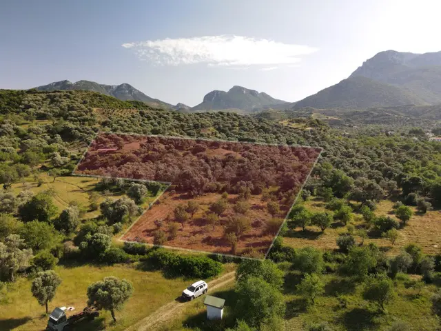 Datça Karaköy Mahallesinde 4645 M2 Deniz Manzaralı Tarla 3