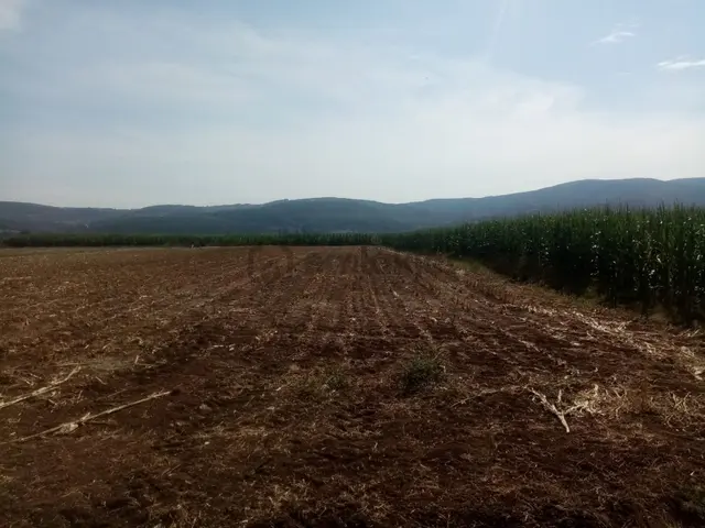 Balıkesir İvrindi Gökçeyazı Da Demirdağ Emlaktan Satılık Tarla. 2
