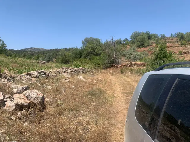 Konya Bozkır Işıklar Köyünde 3.089m² Bağımız Satılıktır 3