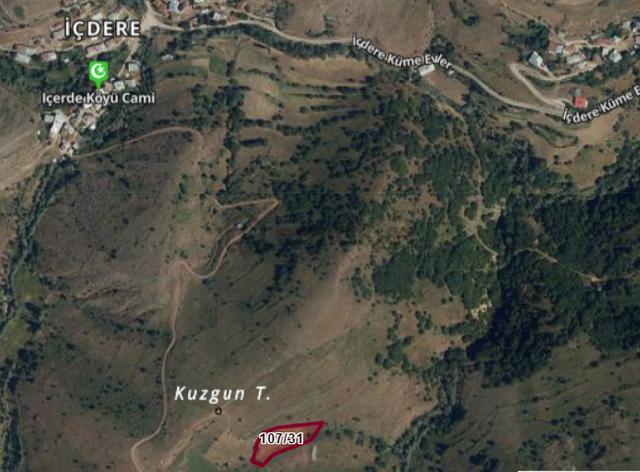Sivas Doğanşar İçdere Köyünde 3.037 M² Tarla Satılıktır 1
