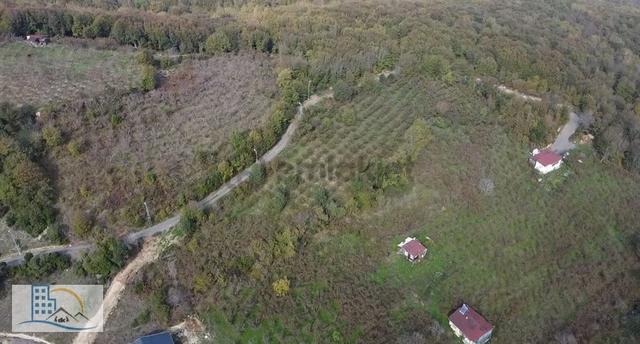 Şile Gül Emlkatan Kadı Köyde Satılık Fındıklık 8560 M2 4