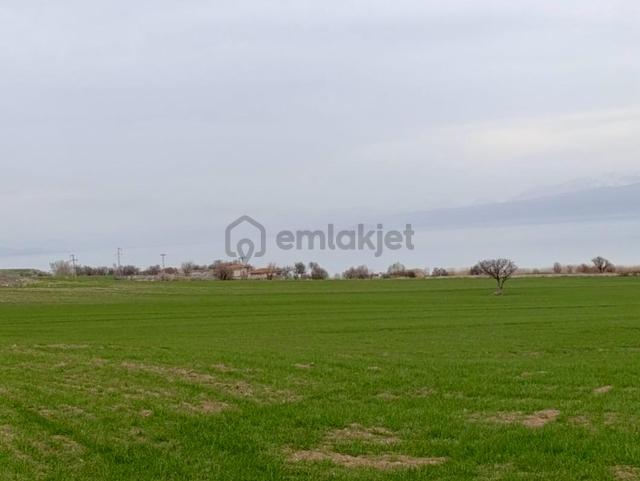 Beyşehir Göl Kenarı Tek Tapulu Satılık Tarla 5