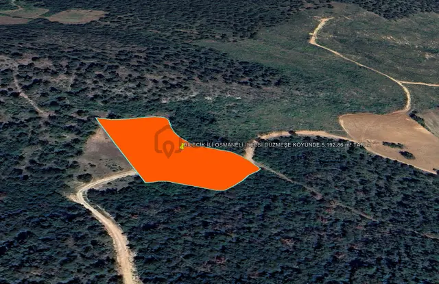 Bilecik İli Osmaneli İlçesi Düzmeşe Köyünde 5.192,86 M² Tarla 3