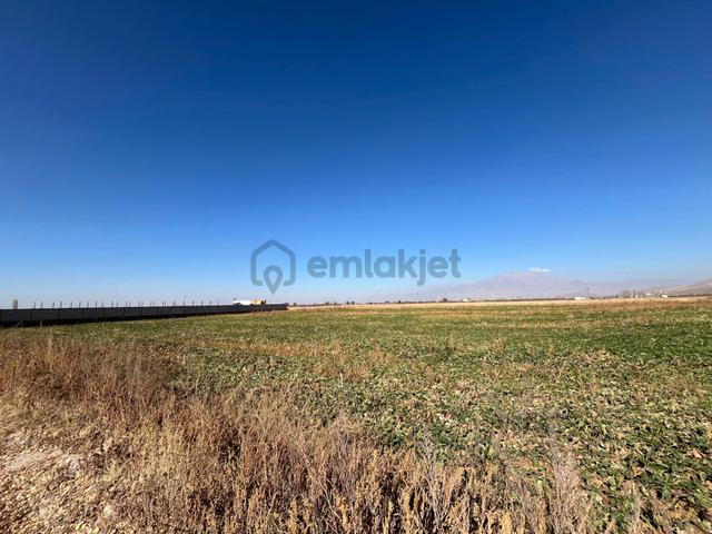 Öz Gaye Emlaktan Develi Gaziköy Karayer Mevkiinde Satılık Tarla 5
