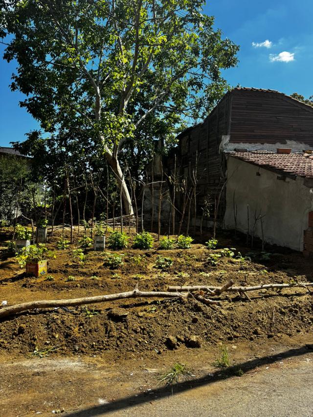 Alyans Life İnşaat'tan Sahile 100 Metre Mesafede 3