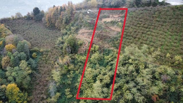 Trabzon'da Satılık Arazi 4