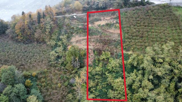 Trabzon'da Satılık Arazi 2