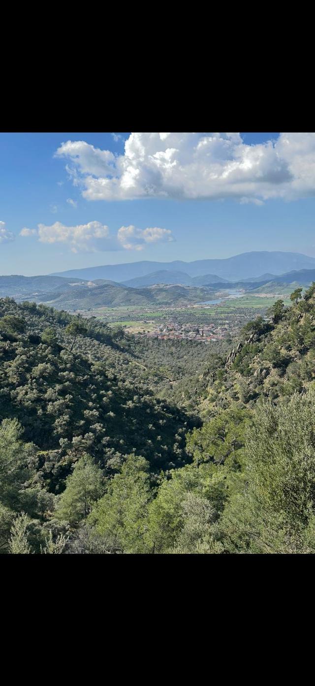 Muğla Milas Da 5 800 M2 Tek Tapu Müstakil Parsel Arazi Satılık 2