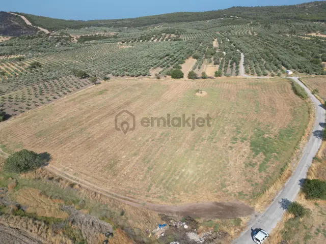 Hastaneye 300 Metre Mesafede Satılık Büyük Tarla 3